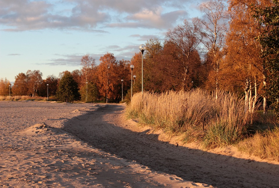 Short & Lonesome Road